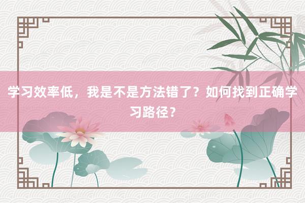 学习效率低,我是不是方法错了?如何找到正确学习路径?