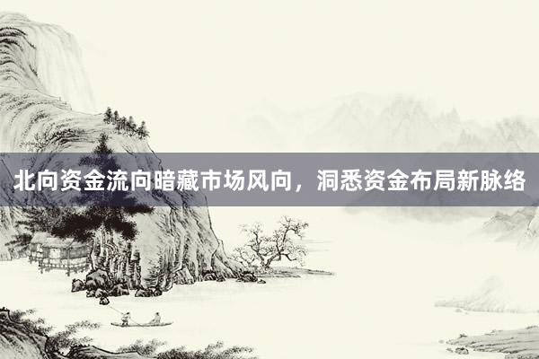 北向资金流向暗藏市场风向，洞悉资金布局新脉络