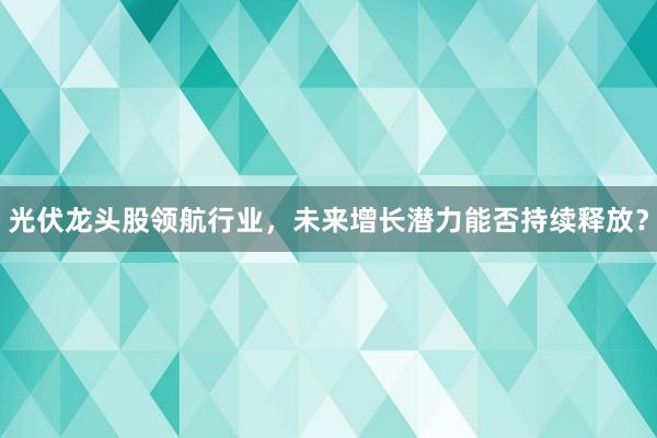 光伏龙头股领航行业，未来增长潜力能否持续释放？