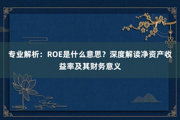 专业解析：ROE是什么意思？深度解读净资产收益率及其财务意义