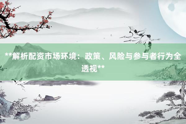 **解析配资市场环境：政策、风险与参与者行为全透视**