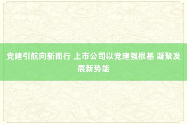 党建引航向新而行 上市公司以党建强根基 凝聚发展新势能